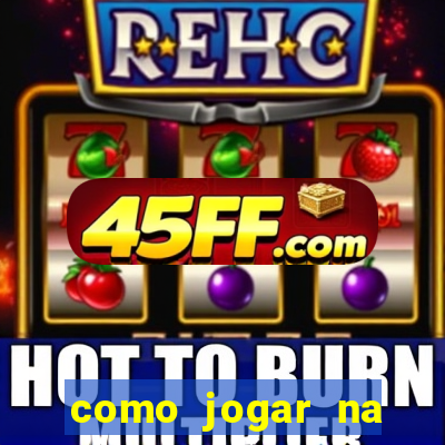 como jogar na teimosinha da lotofacil